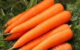 Можно ли кормящей маме морковь