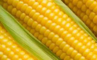Кукуруза при грудном вскармливании